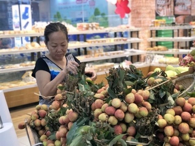 Saigon Co.op takes northern lychees around the country