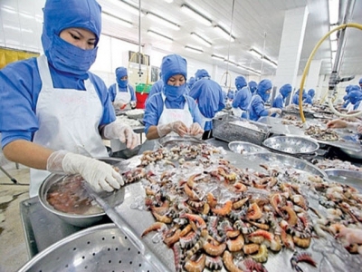 VKFTA gives boost to shrimp exports to RoK