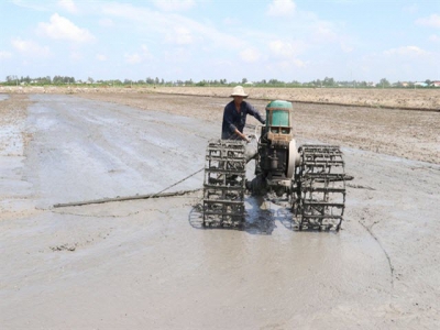 Đồng Tháp improves irrigation works to water summer – autumn rice