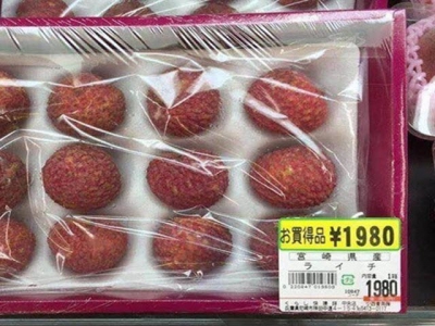 Vietnamese fresh lychees make inroads into Kagoshima Prefecture of Japan