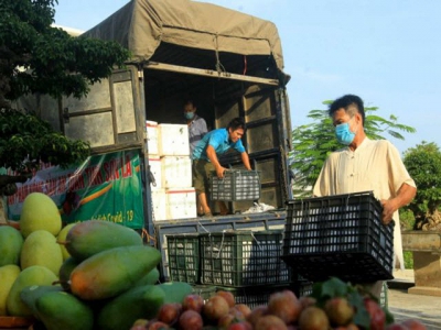 Hà Nội promotes consumption of farming products