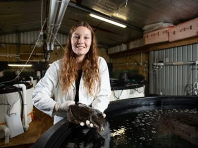 New Zealand scientists launch novel flounder farming breeding programme