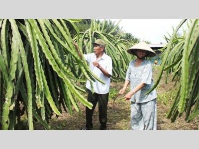 Vợ Chồng Cựu Chiến Binh Vượt Khó Làm Giàu