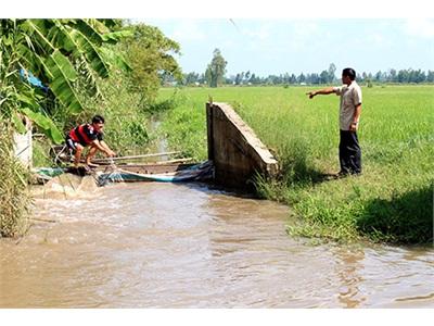 Giải Pháp Cho Cánh Đồng Mẫu Lớn Vị Thanh