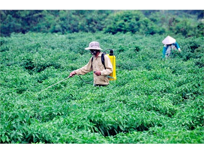 Tăng Hiệu Quả, Tiết Kiệm Nước Tưới