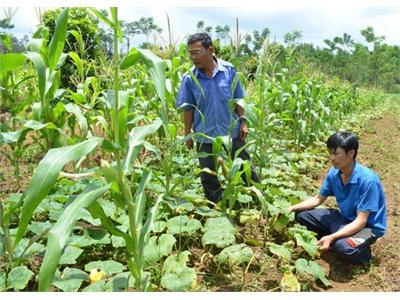 Tổ Giúp Nhau Phát Triển Kinh Tế Ở Thôn 8, Xã Nhân Đạo