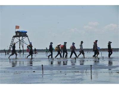 Tiền Giang Làm Giàu Từ Vàng Trắng Ở Vùng Biển Gò Công