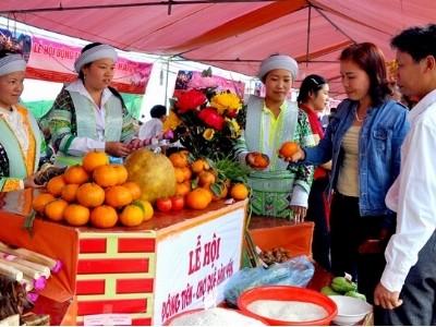 Phát triển và giữ vững thương hiệu Cam sành Hàm Yên (Tuyên Quang)