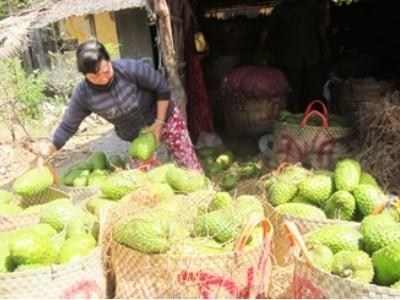 Mãng cầu Xiêm tăng giá mạnh