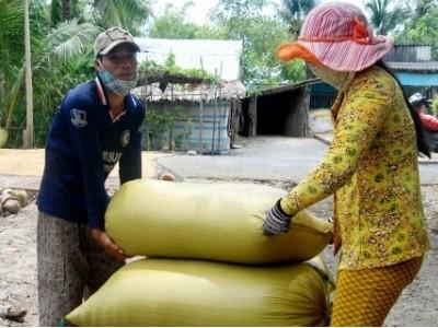 Phát triển cánh đồng lớn: Nâng cao giá trị sản xuất nông nghiệp