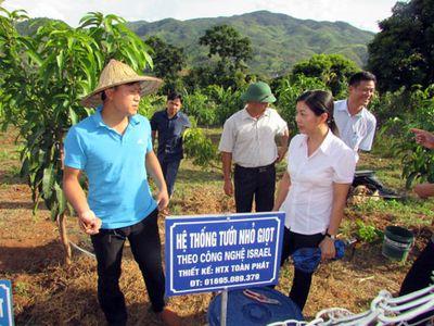 Công nghệ tưới hơn cả Israel cho vùng cao Sông Mã