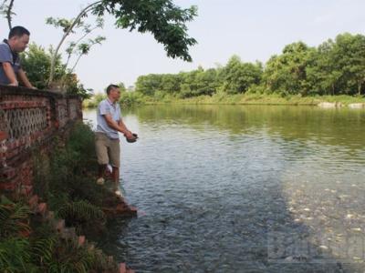 Bắc Giang chủ động ngăn ngừa dịch bệnh ở thủy sản