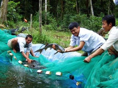 Khẳng định vai trò của KHCN trong nông nghiệp