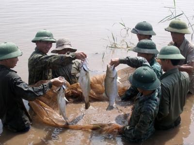 Kỳ vọng từ con tôm, con cá