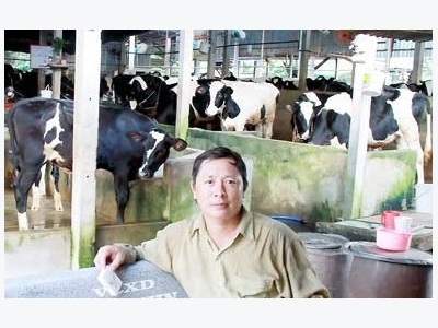 Agricultural cooperatives in HCMC face difficulties