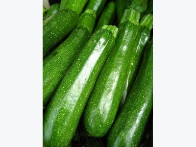 Diseases of Zucchini Plants