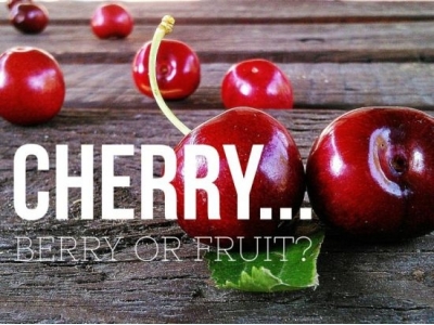 Cherry: Berry or Fruit?