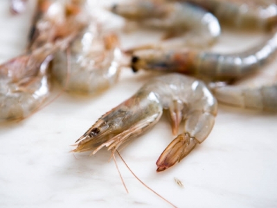 Strong growth seen in global shrimp market