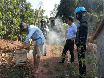 Bee raising under VietGAHP