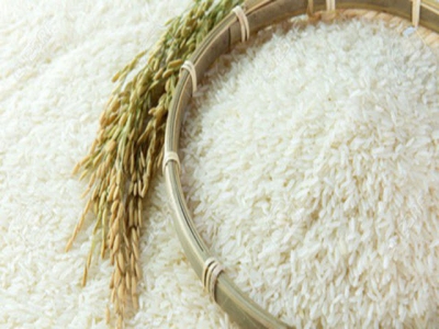 Value and volume of rice exports on the rise