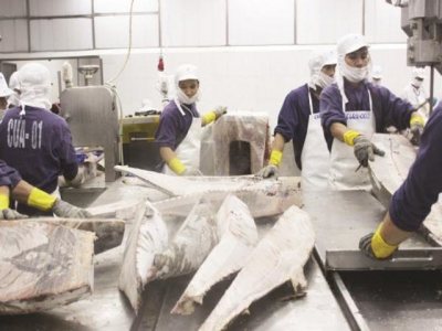 To build a safe raw material area towards the sustainable seafood export