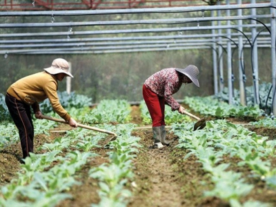 More investment needed for agriculture sector