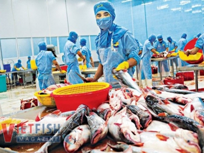 Seafood exports have seen more positive signs