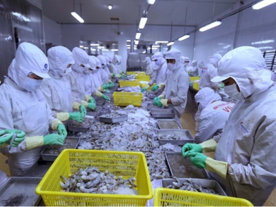 VASEP: Việt Nam to gain growth in shrimp exports to EU