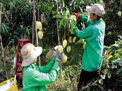 US clamour for Vietnamese produce