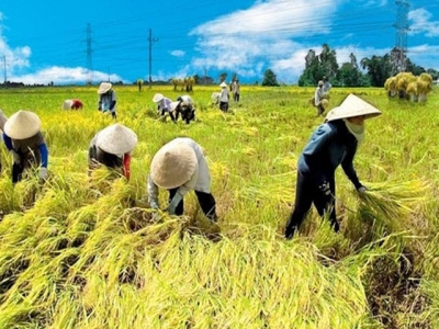 FTAs generate opportunities, challenges to Vietnams agriculture