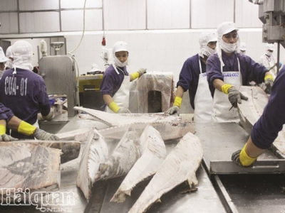 Increase the value of Vietnamese seafood to the EU