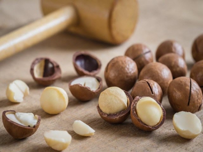 Macadamia nuts – a growing market