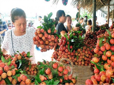 Vegetable, fruit exports exceed $1.5 billion in first half