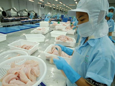 Farmed Pangasius export increased by more than 10% in the first 5 months of the year