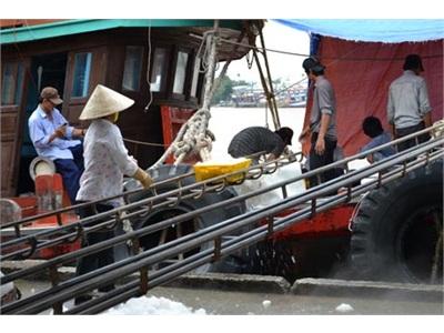 Hỗ Trợ Ngư Dân Đóng Tàu Lớn