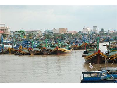 Vượt Khó Làm Giàu Nhờ Khai Thác Hải Sản Vùng Biển Xa