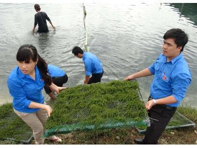 Khánh Hòa Tạo Đột Phá Cho Nghề Nuôi Trồng Thủy Sản