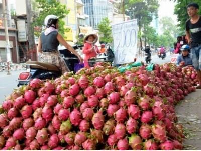 Đau đáu tìm đầu ra cho nông sản