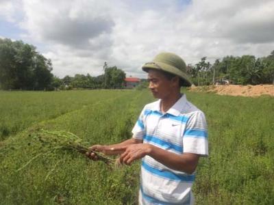 Vui buồn nhân trần