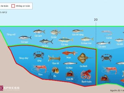 Đề nghị lập bản đồ vùng biển cấm khai thác hải sản tầng đáy