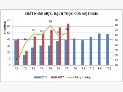 Thị trường xuất khẩu mực, bạch tuộc ngày càng rộng mở