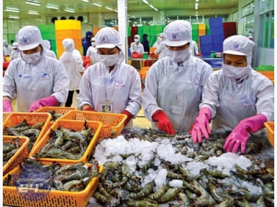 US extends antidumping order on Vietnamese shrimp