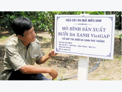 Phát triển vườn cây VietGAP ở ĐBSCL: Còn nhiều gian nan