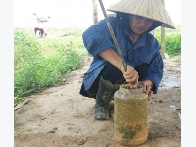 Biến đất bỏ hoang thành 