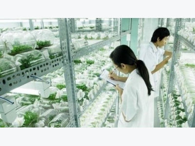 Developing agriculture 4.0