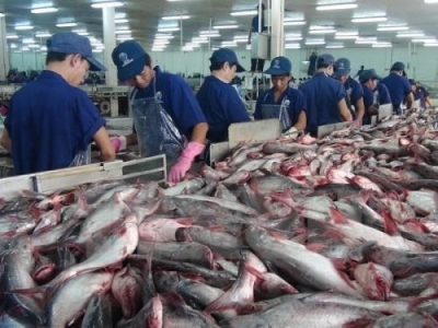 US raises anti-dumping duties on Vietnams frozen catfish fillets