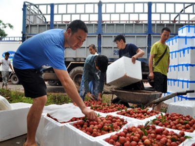 Vietnams low-tech agriculture startups fail to interest investors