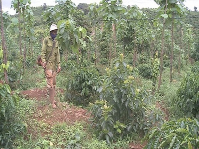 Central Highlands province promotes sustainable agricultural production