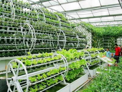 Where is Vietnams hi-tech agriculture?