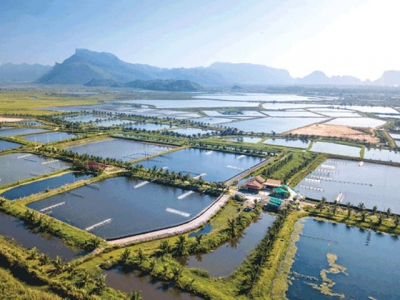 Land Based Sustainable Aquaculture Strategy - Part 5